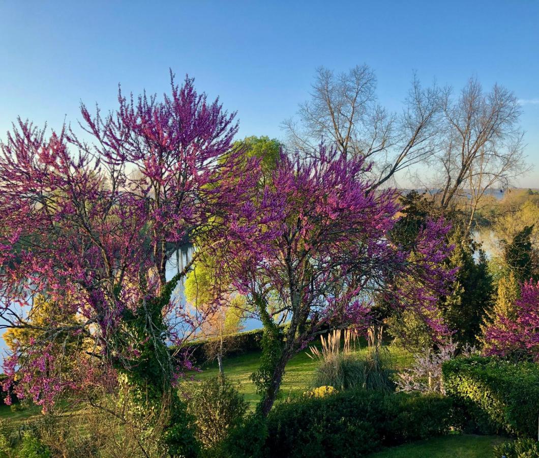 La Suite A Chateau Franc Daut Saint-Magne-de-Castillon Exterior photo